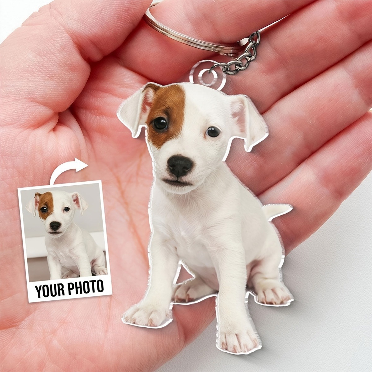 Personalized Custom-Cut colorf - Laser Engraving Software review and price